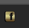 facebook/megatrending
